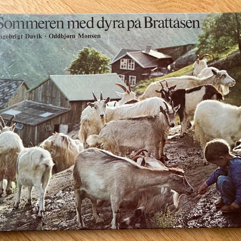 Sommeren med dyra på Brattåsen