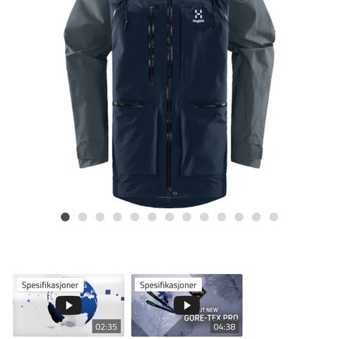 Haglöfs Vassi Gore-Tex Pro Jacket