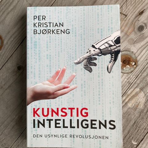 Kunstig Intelligens, Den usynlige revolusjonen