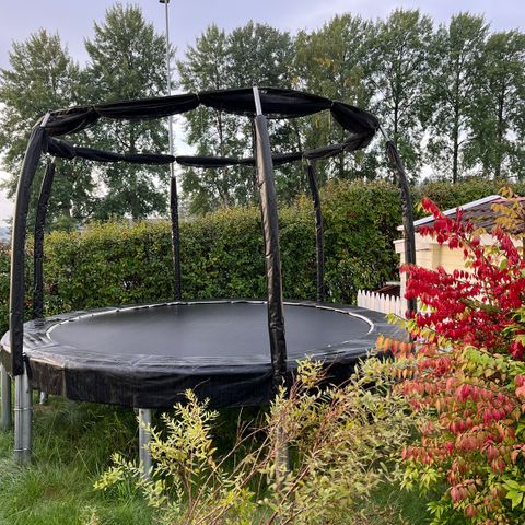 Ultra Pro Trampoline