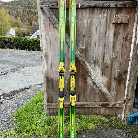 Alpine ski