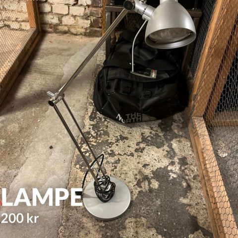 Lampe