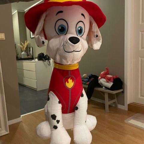 paw patrol