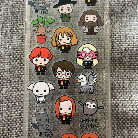 Harry Potter iPhone cover