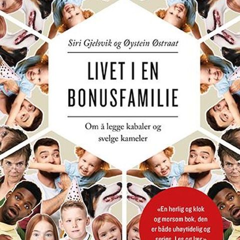 Livet i en bonusfamilie - om å legge kabaler og svelge kameler