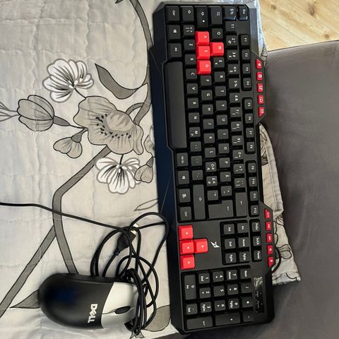 Gaming tastatur og mus