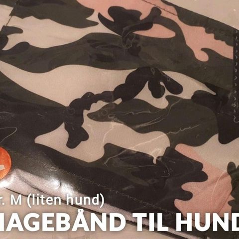 Magebånd til liten hund