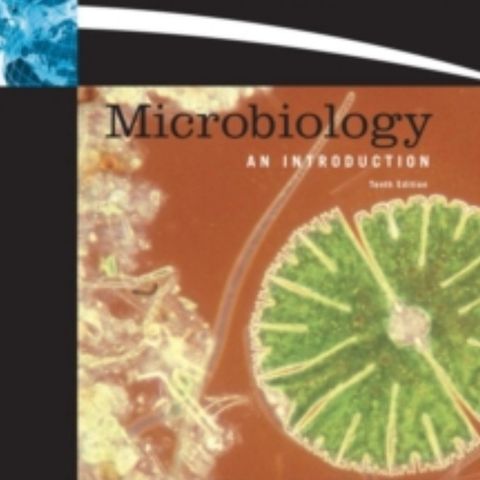 Microbiology An introduction Tenth Edition (Tortora, Funke og Case)