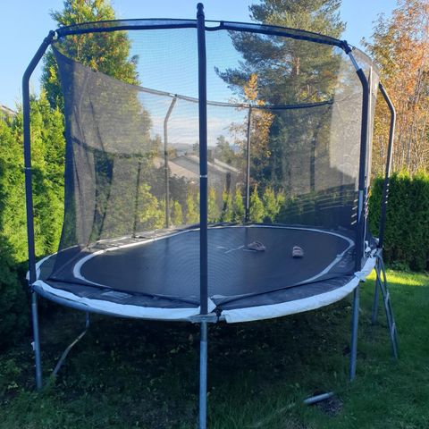 Trampoline