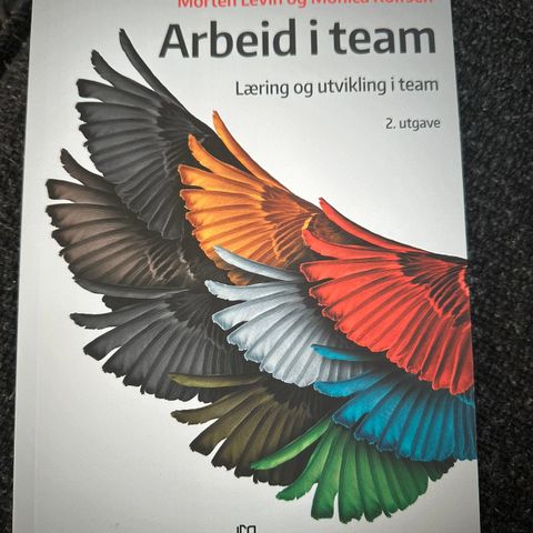 Arbeide i team- Læring og utvikling i team