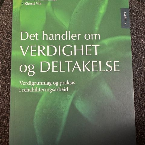 Det handler om verdighet og deltagelse