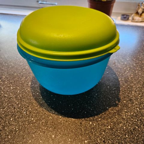 Salatbolle tupperware