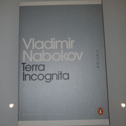 Terra incognita. Vladimir Nabokov