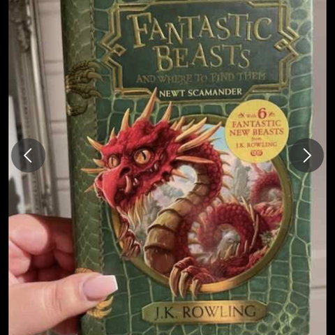 fantastic beasts and where to find them