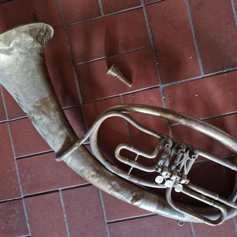 Tuba