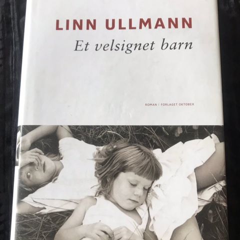 Linn Ullmann, roman