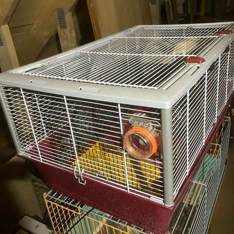 Hamster bur med utstyr