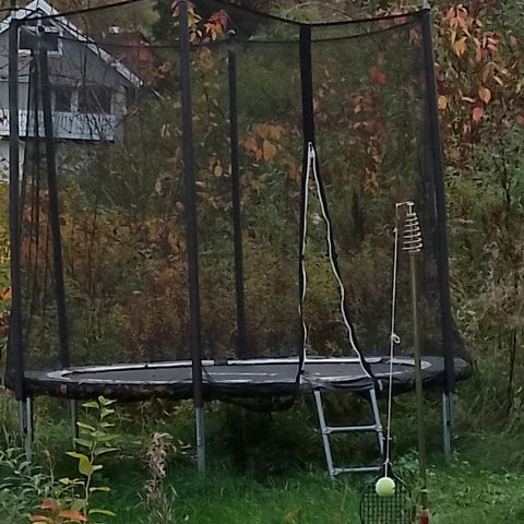 Trampoline