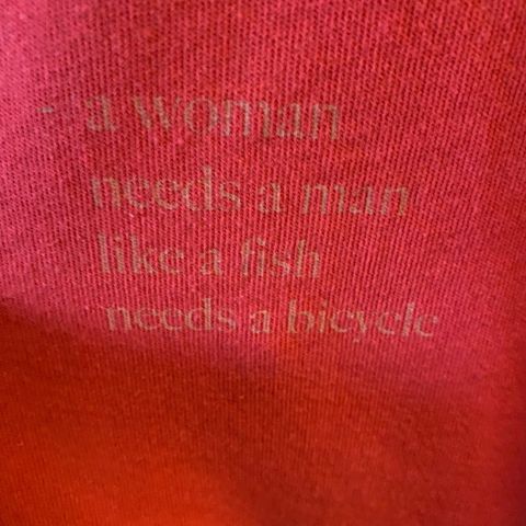 Kul rød genser «a woman needs a man like a fish needs a bicycle» ca L