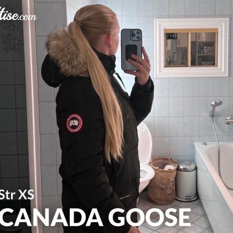 Canada Goose