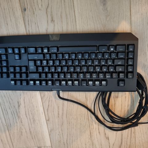 Raizer blackwidow chroma