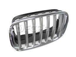 Bmw X5 F15, Orginal front grill