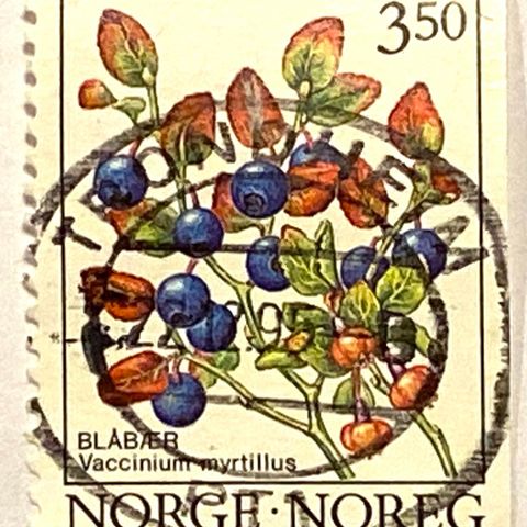 Norge 1995 Blåbær NK 1224 Pent stempel: TRONDHEIM 2. 12. 95