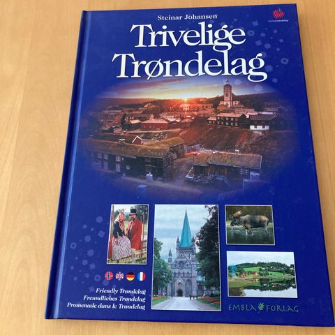 Trivelige Trøndelag, flere språk