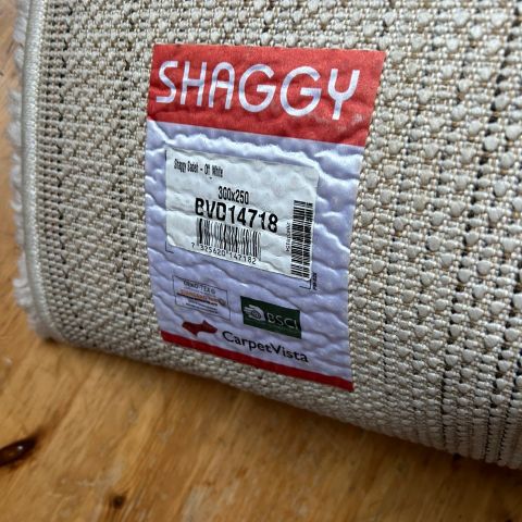 Shaggy teppe- Sadeh, Rugvista 250x300