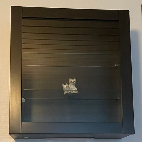 Ikea Bestå Veggskap m/Sindvik glassdør 60x22x64