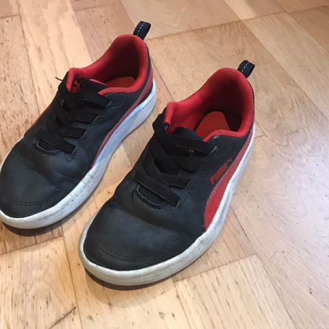 Puma gymsko str 29