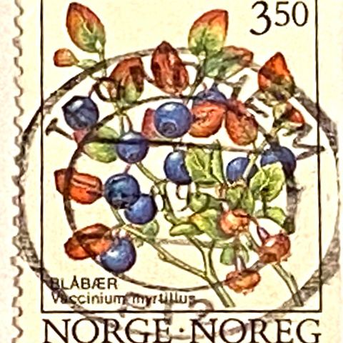 Norge 1995 Blåbær NK 1224 Pent stempel: TRONDHEIM ?. 6. 95