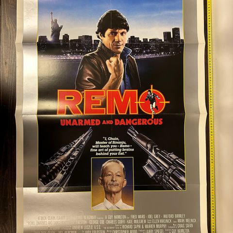 Remo Kinoplakat