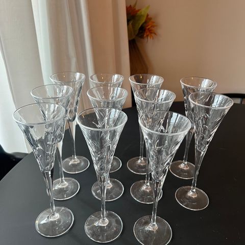 Champagne glass 11stk