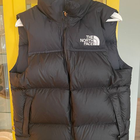 North Face dunvest