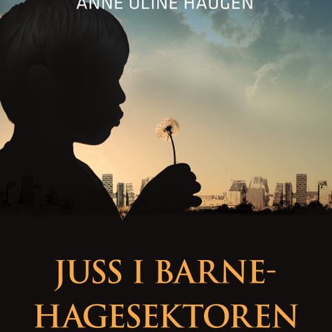 Juss i barnehagesektoren