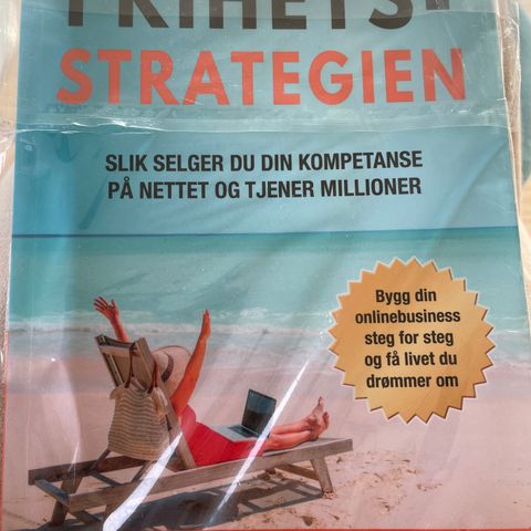 Frihetsstrategien - slik selger du din kompetanse på nett