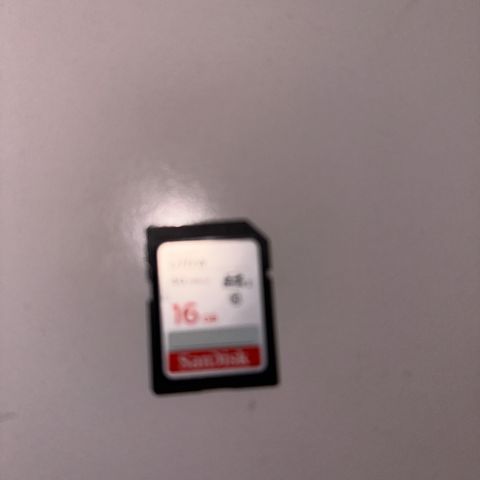 SD kort 16GB