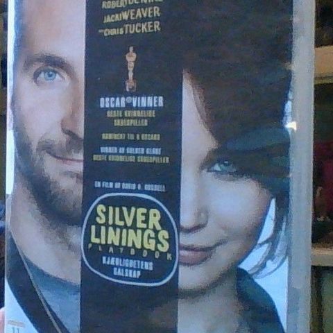 Silver Linings, DVD.