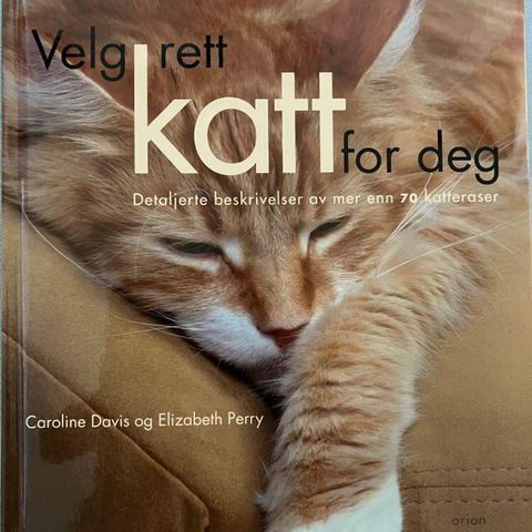 Boken ‘’Velg riktig katt for deg’’ om 70 katteraser.