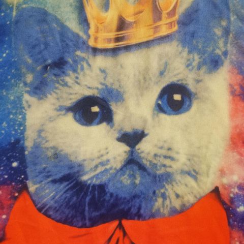 Galaxy cat top