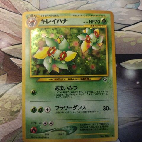 Bellossom Japanese