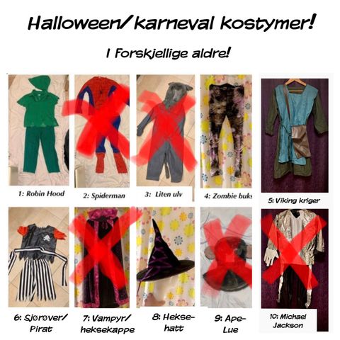 Halloween/karneval kostymer/tilbehør til små og store!
