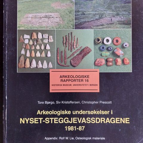 Arkeologiske rapporter fra Bjorøy og Nyset-Steggjevassdragene
