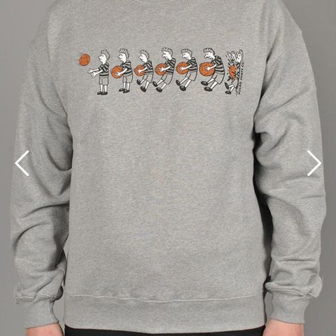 Polar Skate Co Basketball Crewneck grå genser