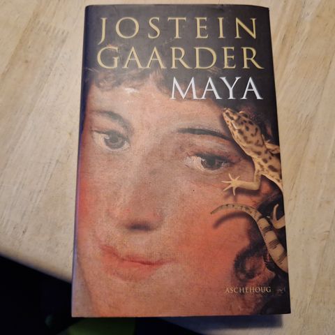 Jostein Gaarder - Maya