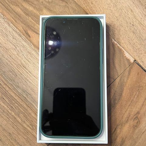 iPhone 13 Mini - Grønn