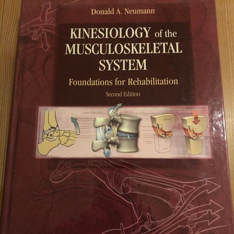 Kinesiology of the musculoskeletal system