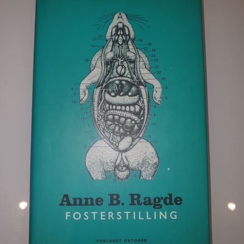 Fosterstilling. Anne B Ragde