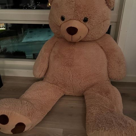 Stor bamse på 120 cm søker nytt hjem